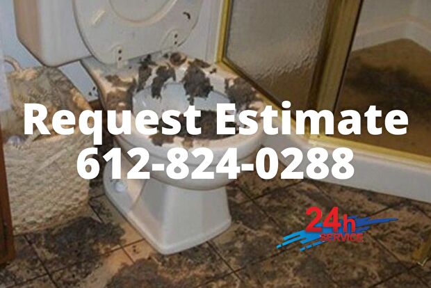 Water Damage Minneapolis, Minneapolis Water Damage, Flood Removal Service Minneapolis, Basement Water Removal Near Me Minneapolis, Sewage Removal Services, Flood Water Removal, Emergency Sewage Cleanup, Emergency Water Extraction, Mold Remediation Minneap