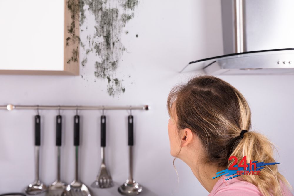Mold Mitigation Siren Wisconsin, Mold Remediation Siren Wisconsin