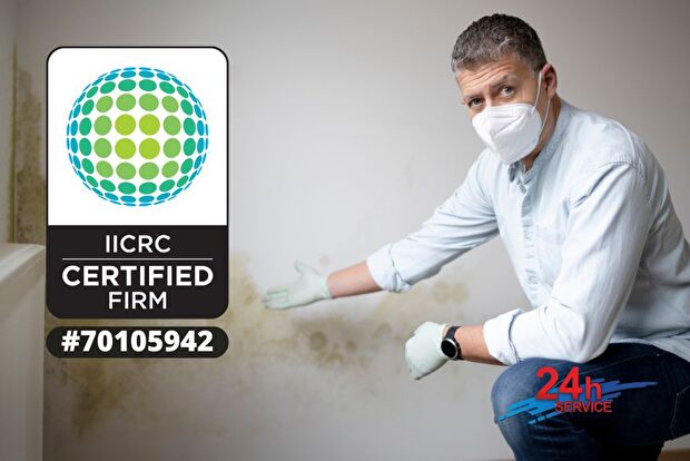 Mold Remediation Webster Wisconsin, Water Damage Restoration Webster Wisconsin