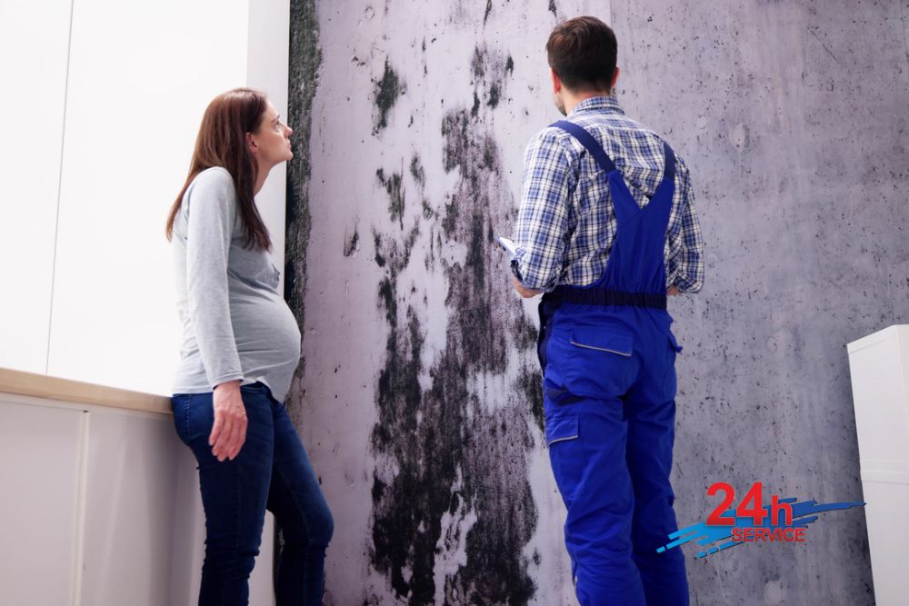 Mold Mitigation Frederic Wisconsin, Mold Remediation Frederic Wisconsin