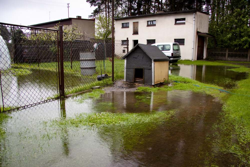 First Response Restoration Water Damage Siren Wisconsin, Water Damage Siren Wisconsin
