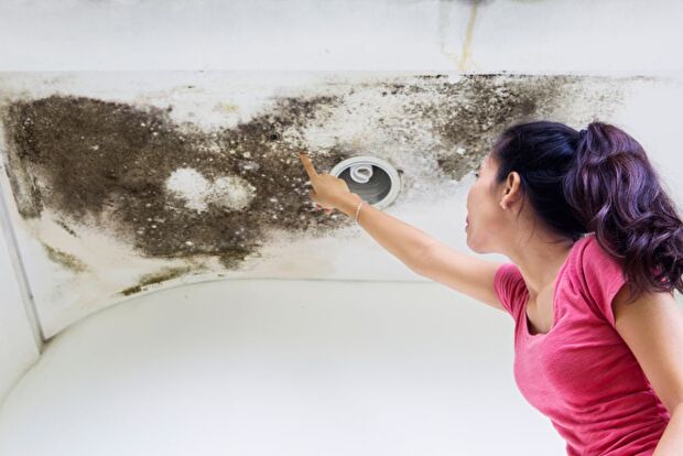 Water Damage Siren Wisconsin, Siren Wisconsin Water Damage, Water Damage Restoration Siren Wisconsin, Siren Wisconsin Fire Damage Restoration, Siren Wisconsin Mold Mitigation, Siren Wisconsin Mold Remediation, Siren Wisconsin Water Damage Clean Up