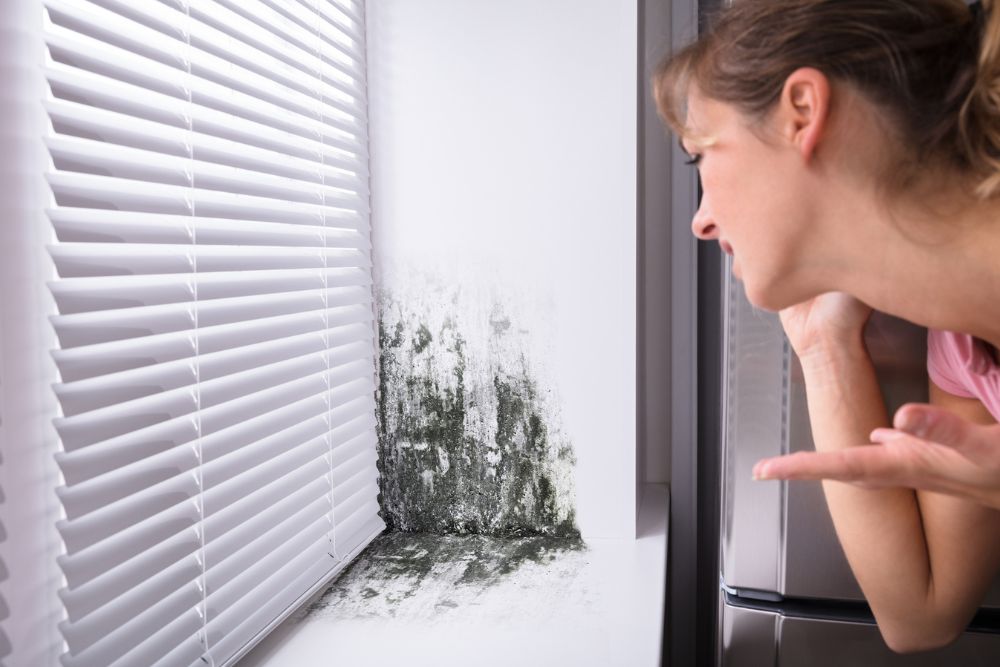 Water Damage Minneapolis, Water Damage Specialist Minneapolis Minnesota