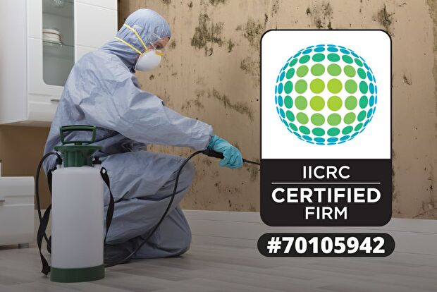 Frederic Wisconsin Mold Mitigation, Frederic Wisconsin Mold Remediation, Frederic Wisconsin Water Damage Clean Up, Frederic Wisconsin Water Damage Restoration, Basement Water Removal Frederic Wisconsin