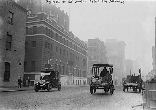 350 Lafayette Street, 1914. Image Credit: Flickr Commons Project, 2011