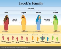 Leah Zilpah Rachel Bilhah