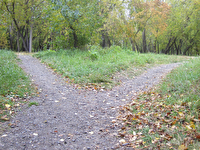 Park Paths Diverge