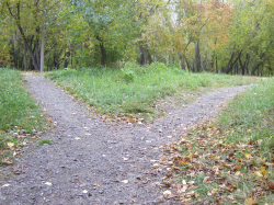 Choosing a Path