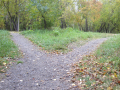 Park Paths Diverge