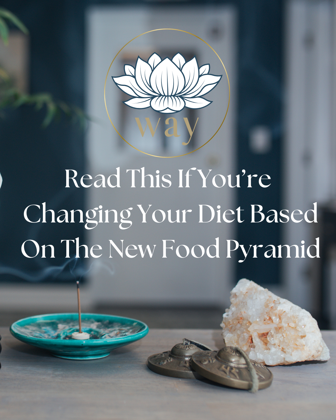 Read This If You’re Changing Your Diet Based On The New Food Pyramid