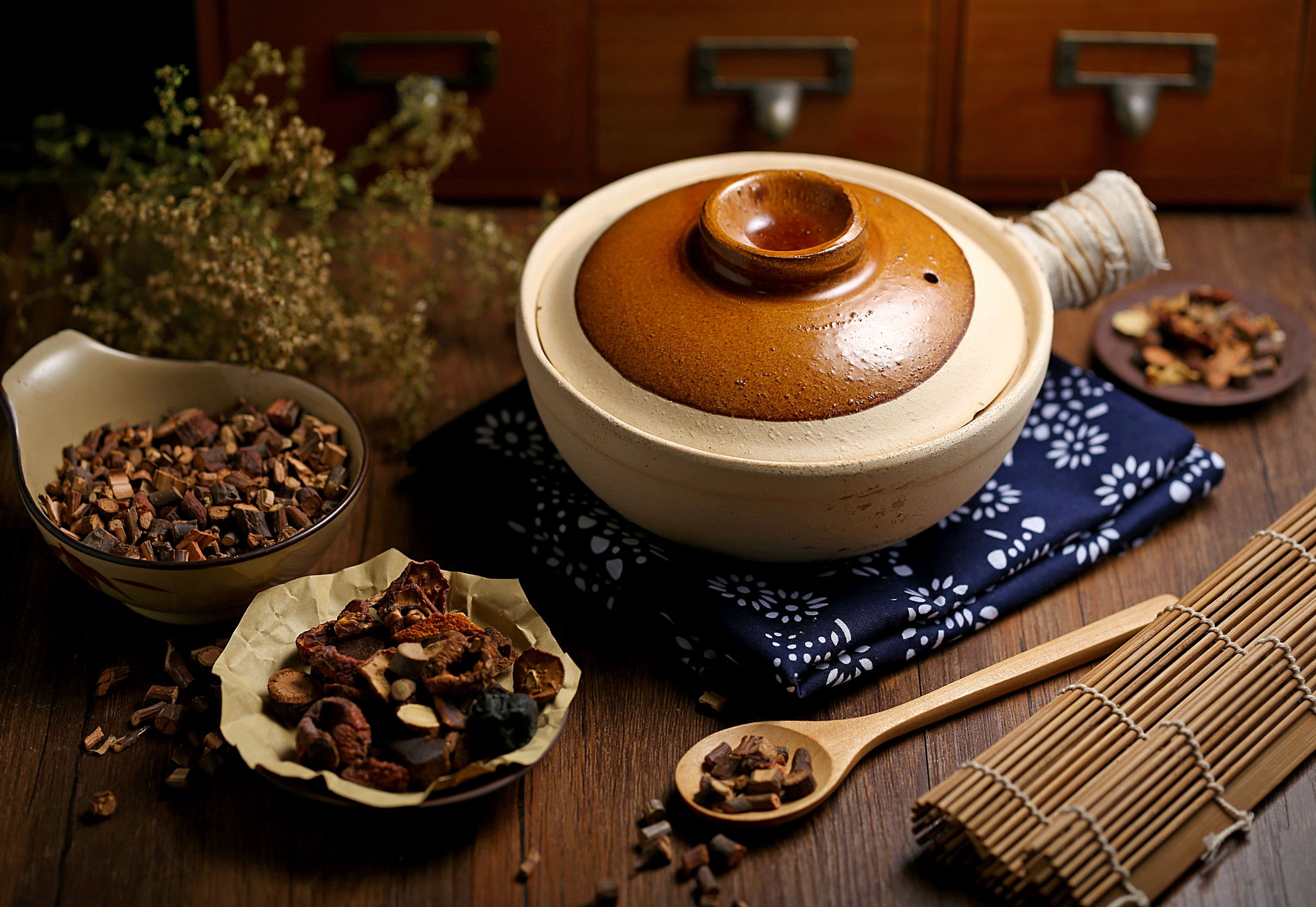 Traditional Chinese Medicine