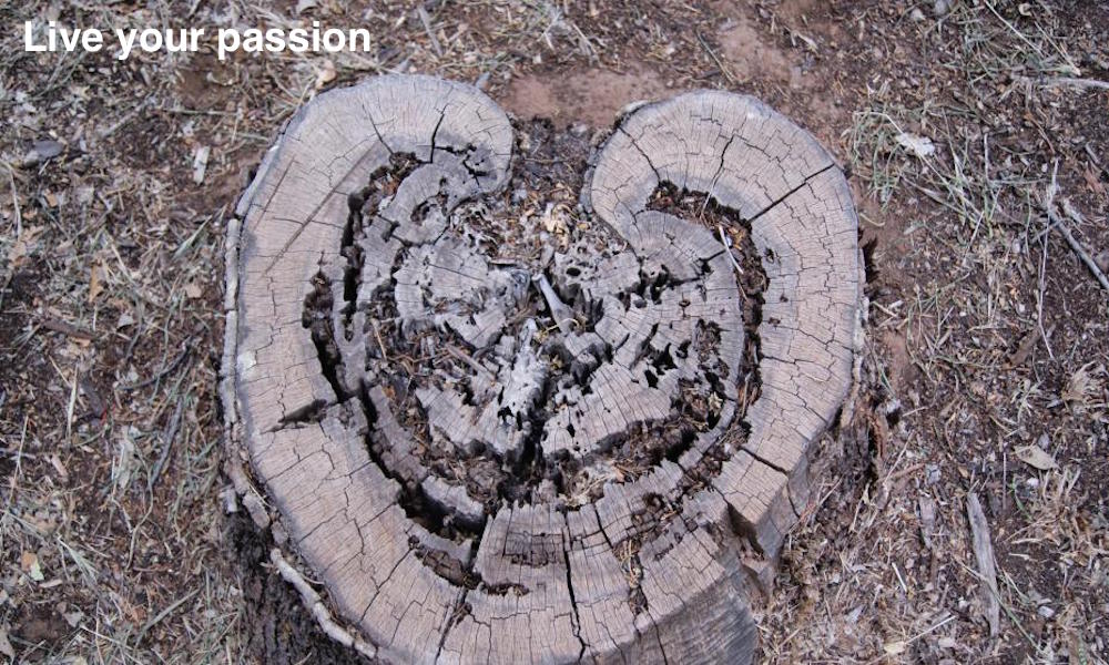 Live your passion edited_copy