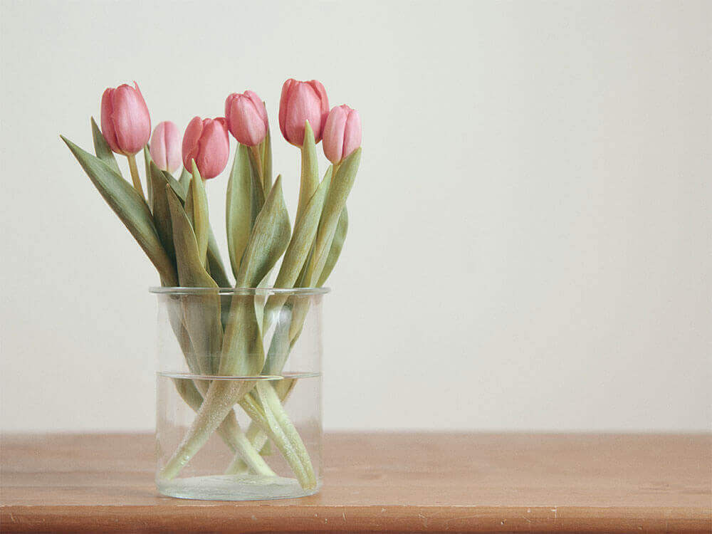 clear-vase-tulips