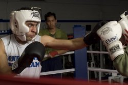 al boxing