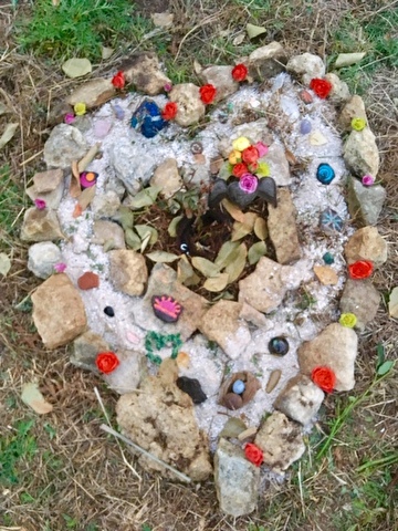 rocks and flowers arranged into a heart shape
