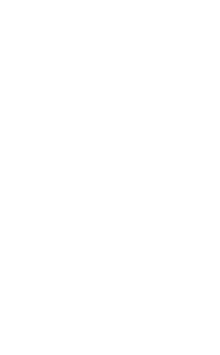 icon-network