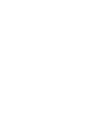 icon-voipphone copy_copy