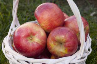 Fireside Apple
