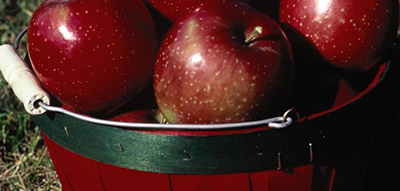 Haralred Apple