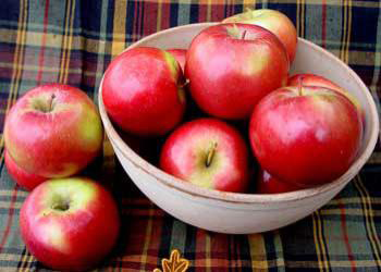 Snowsweet Apple
