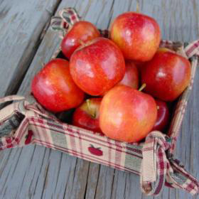 Whitney Crabapples