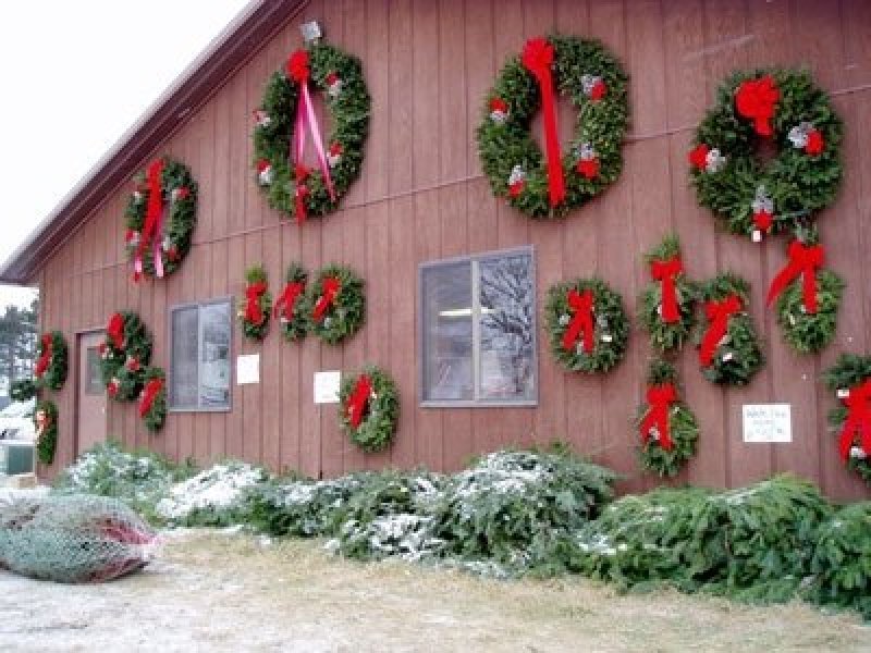 Wolcyn Tree Farms & Nursery Photo Gallery | Cambridge, MN