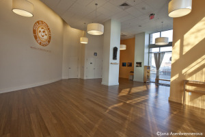 Yoga in Daily Life Bay Area Yoga Studio