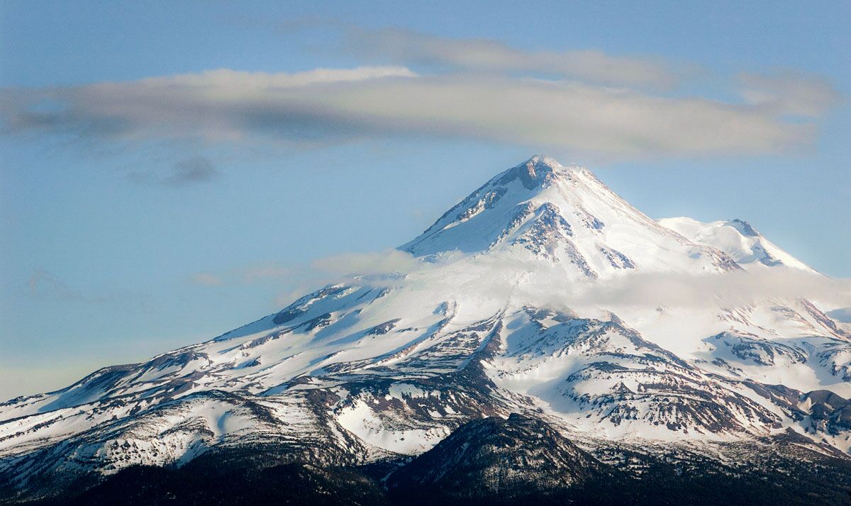 shasta