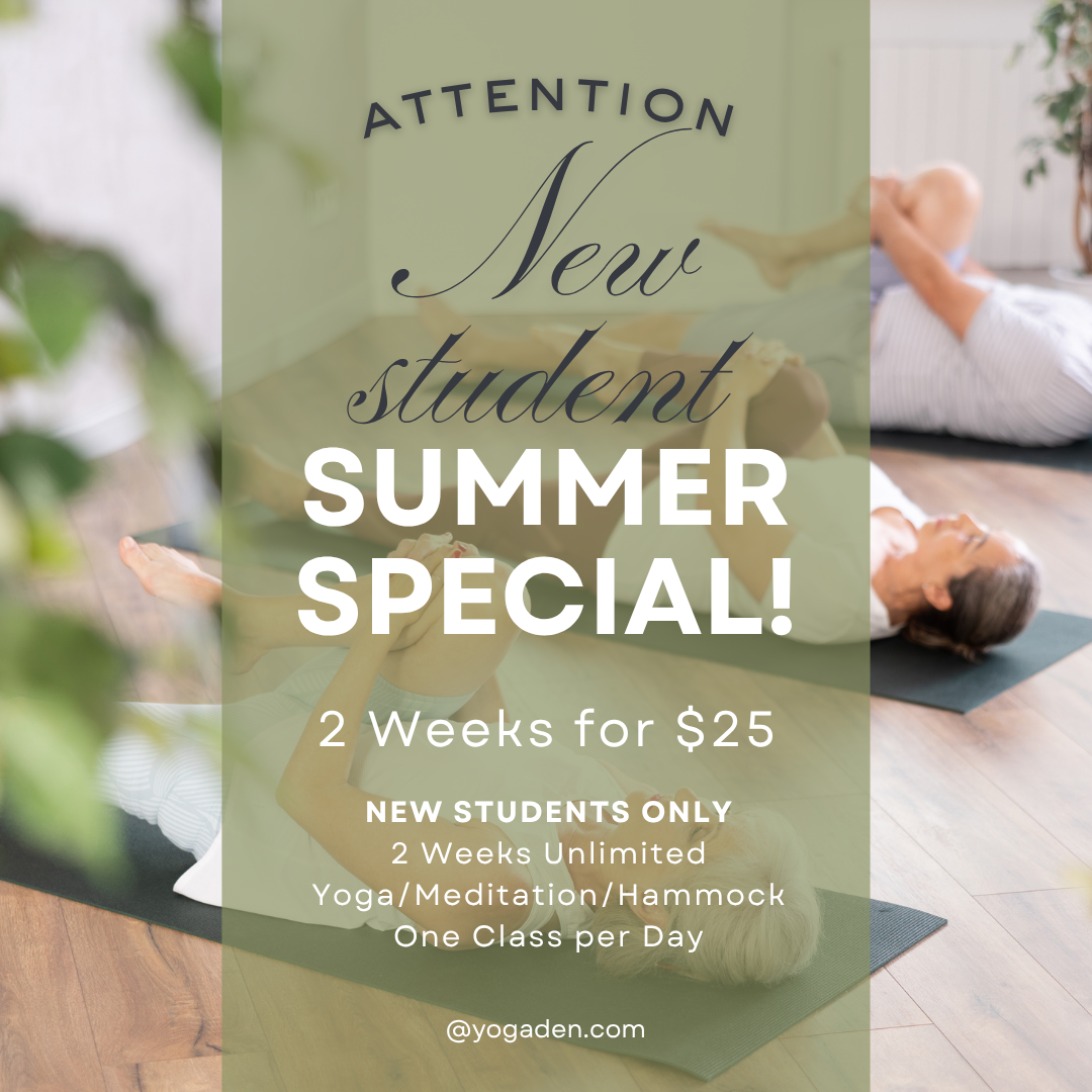 2 weeks summer special