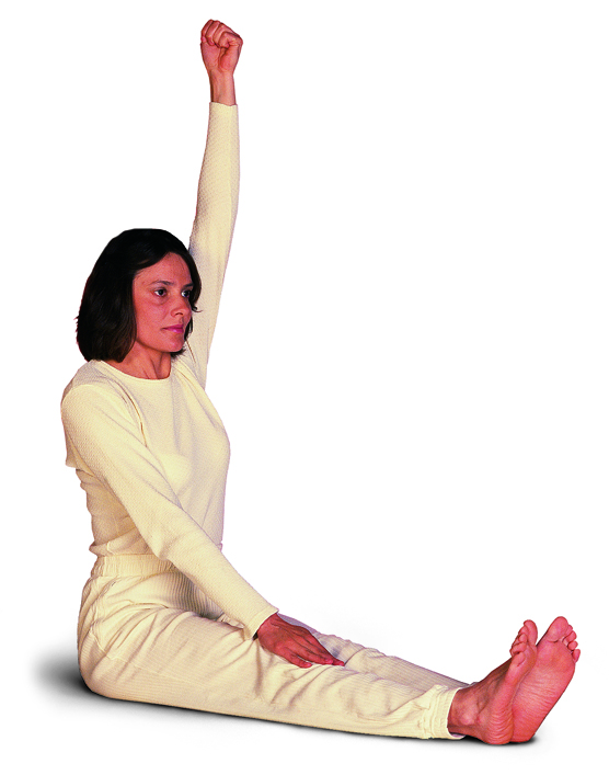 Yoga Stretch