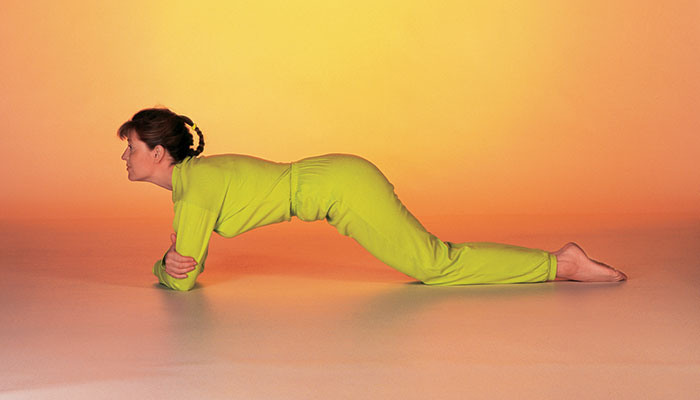 Pose Leaning Forward