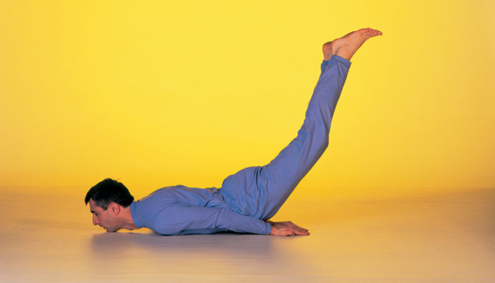 Backwards Leg Lift