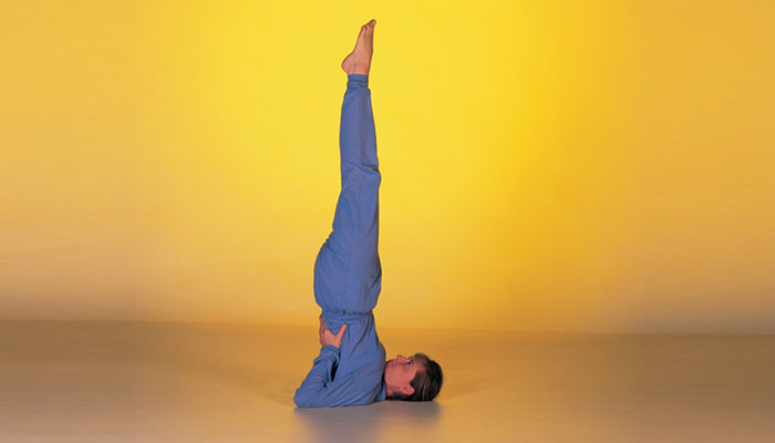 Straight Up Leg