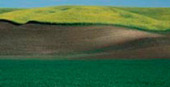 Environment