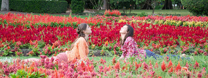 Meditating In The Garden