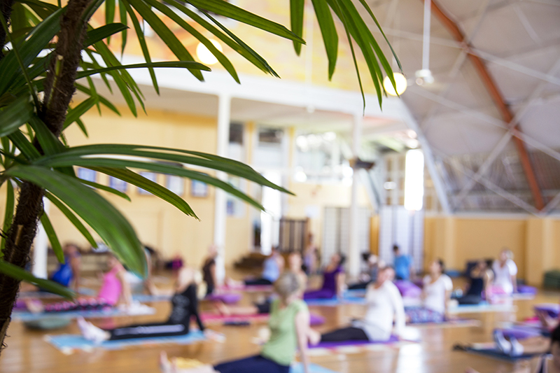 Yoga_12_copy
