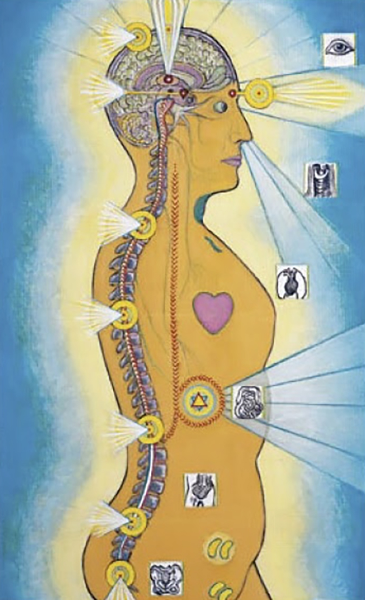 chakras-by-spine_copy