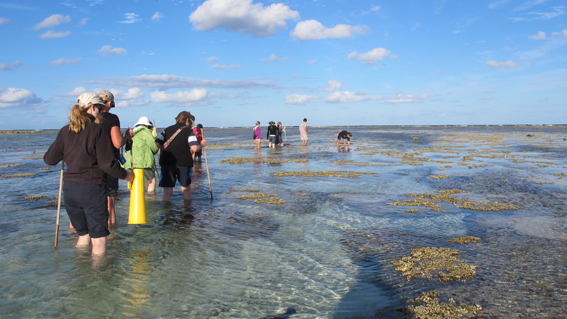 reef walk 