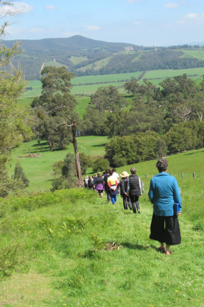 Meditation Walk. Yoga in daily Life Retreat.