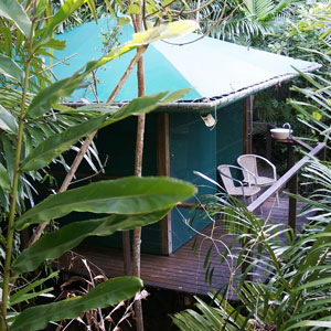 SR-Rainforest-Hut-outside