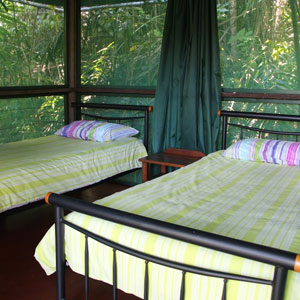 SR-Rainforest-Hut-twin