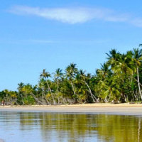 Yoga in Daily Life Winter Escape Retreat