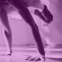 Yoga in Daily Life Advanced Asana Class