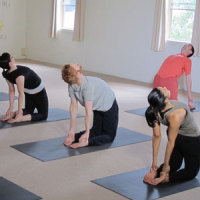 Yoga in Daily Life