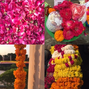 Yoga in Daily Life India Retreat