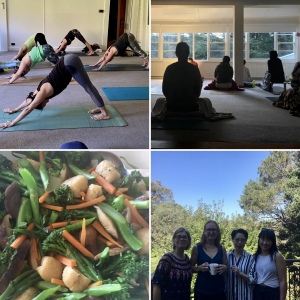 Samsara Yoga Classes  Garden & Studio Sessions