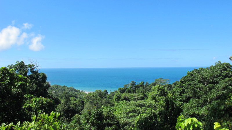 View from the Deck