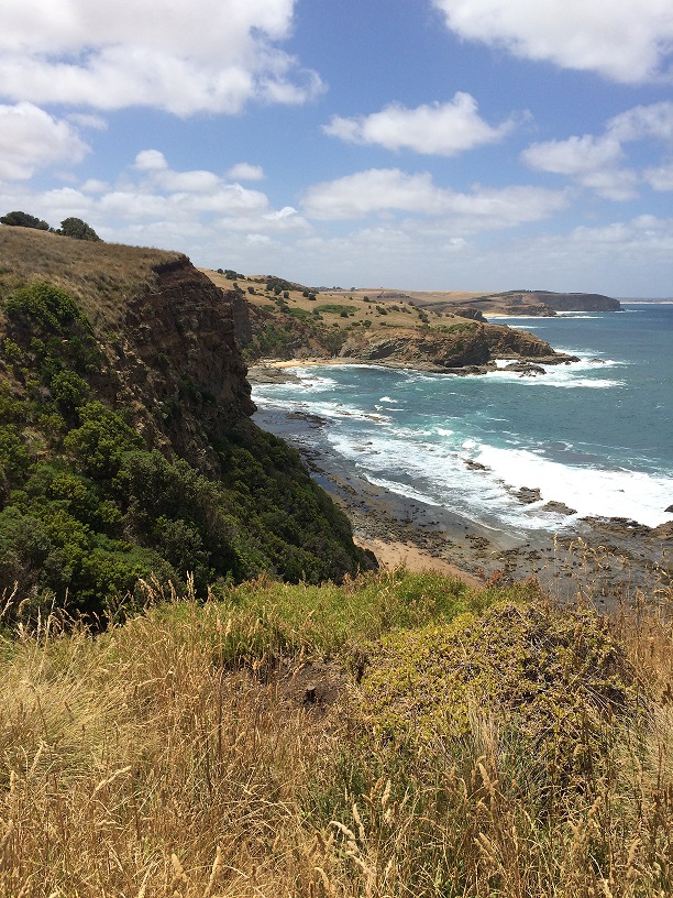 Wyn Coast 2 a