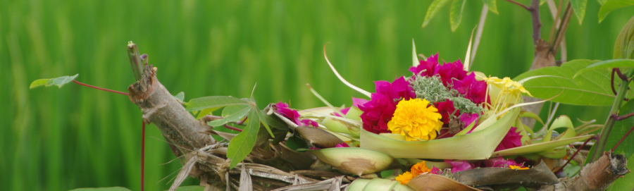 Yoga in Daily Life Retreat to Bali