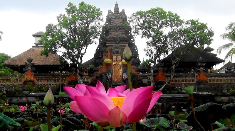 Yoga in Daily Life Retreat Bali